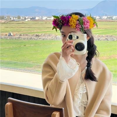 高速路上一只猫